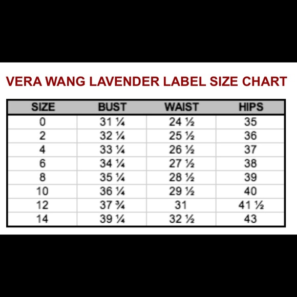 NWT Vera Wang Black Dupioni Silk Dress - Picture 12 of 12